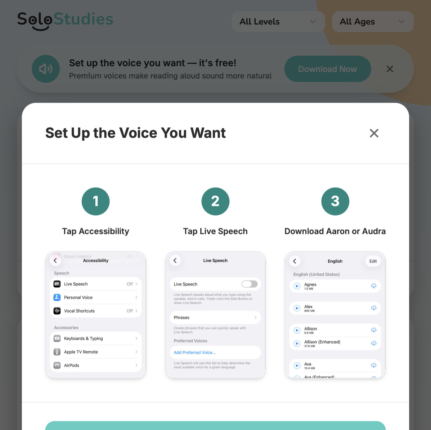 Voice Personalization Process